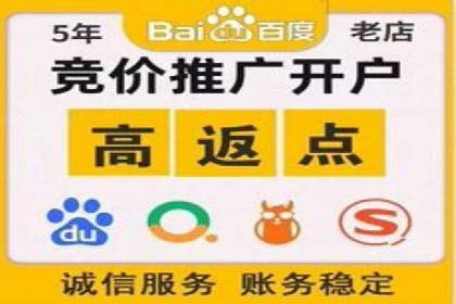 百度推广案例：精准广告投放策略解析