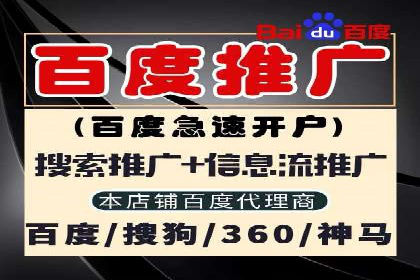 成功SEM主管的营销策略案例分享
